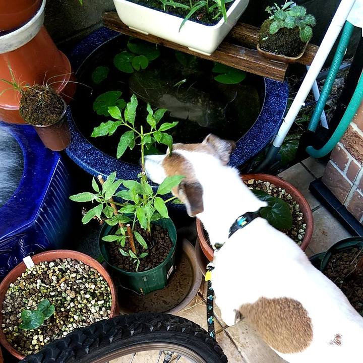 60993255 6bb6 4633 a180 f8f1eea85c7f 1533589651686