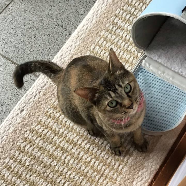 60994f98 ac4c 4923 8320 0786abb91d4f 1595318672468