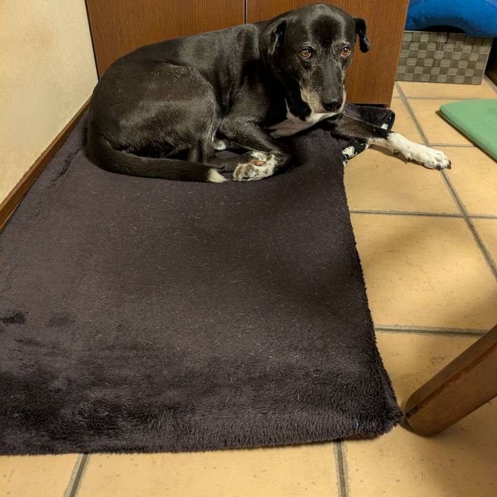 60995634 9f7e 4c8d b6b1 4455ecfaecac 1766453535878