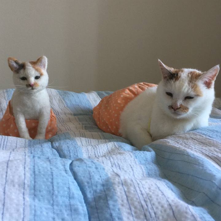 60996b53 65d1 4973 9a6f 1141e9ed2b15 1533296378652