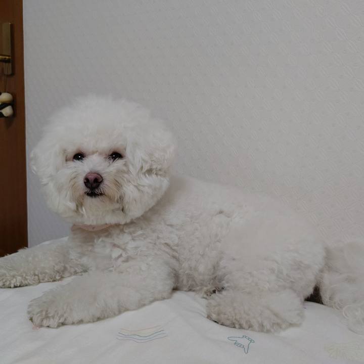 60997ad0 c6ad 4ddb 93cc 3b1fff05c8a2 1659783900377