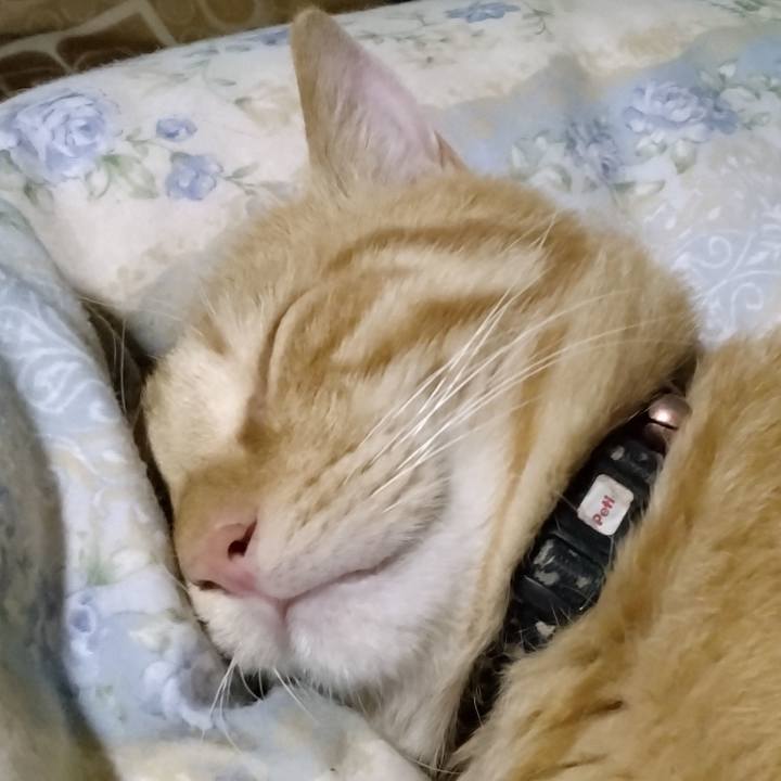 60997e57 92b8 417e 80d4 ed41c741cb91 1664542934653