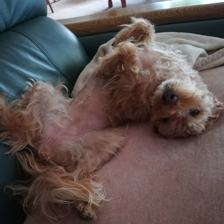 609987c7 6350 4723 b410 06f5e104e5b9 1570845958667