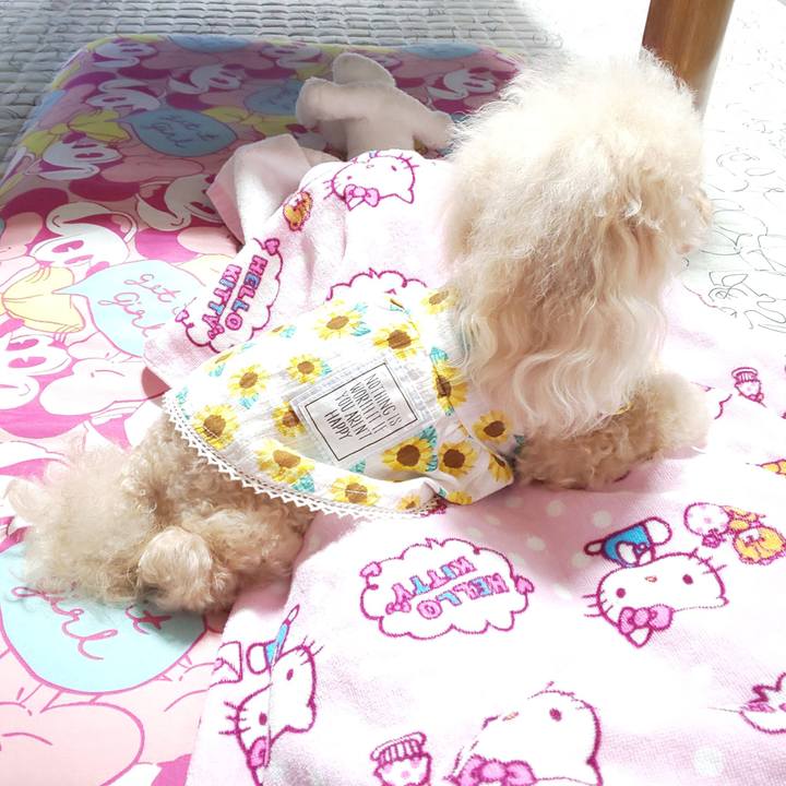 6099d7d7 3493 4074 990a d634b7b94bd9 1566911497382