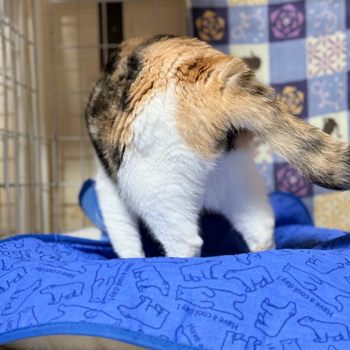 6099e1a5 5915 4282 8913 4ab23121617d 1759108961016