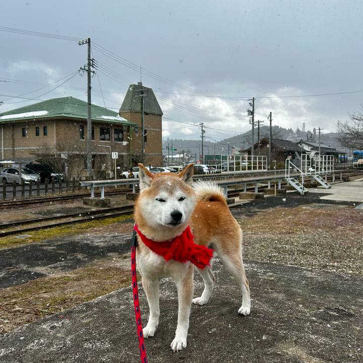 609a4c12 59c6 4b11 a547 d61859fd8689 1769673794342