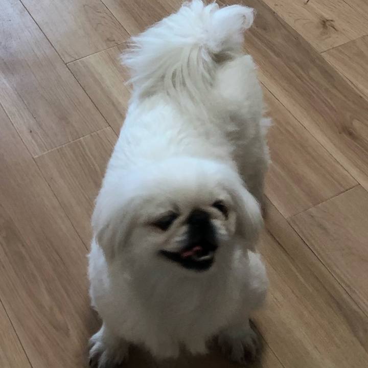 609a5b7d 86af 4d94 b67b 7e31d1f3a357 1618828444138