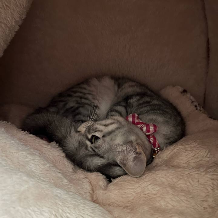 609ac19d 5fe1 4a59 ba64 10f7247f41ca 1710406610698