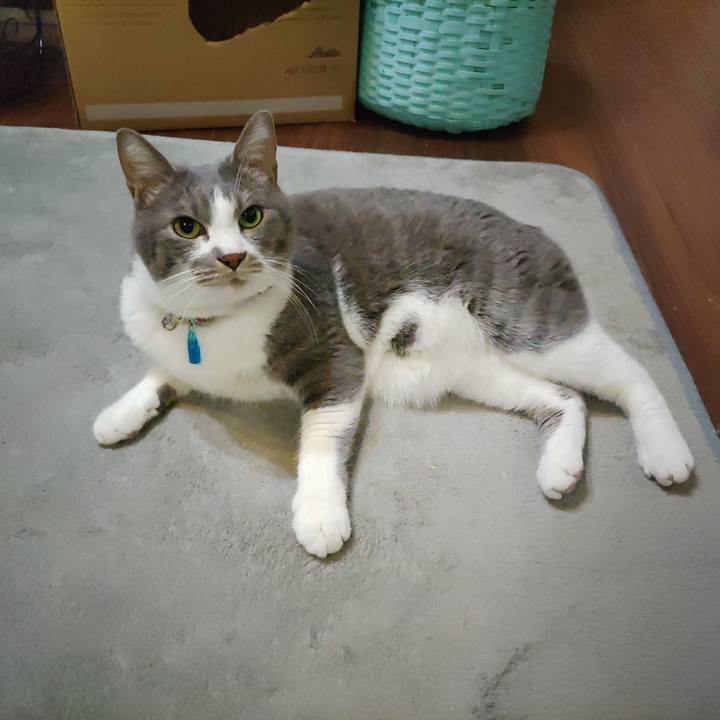 609ac2f0 9f4f 4d54 83a4 d055b34d6c13 1708553651224