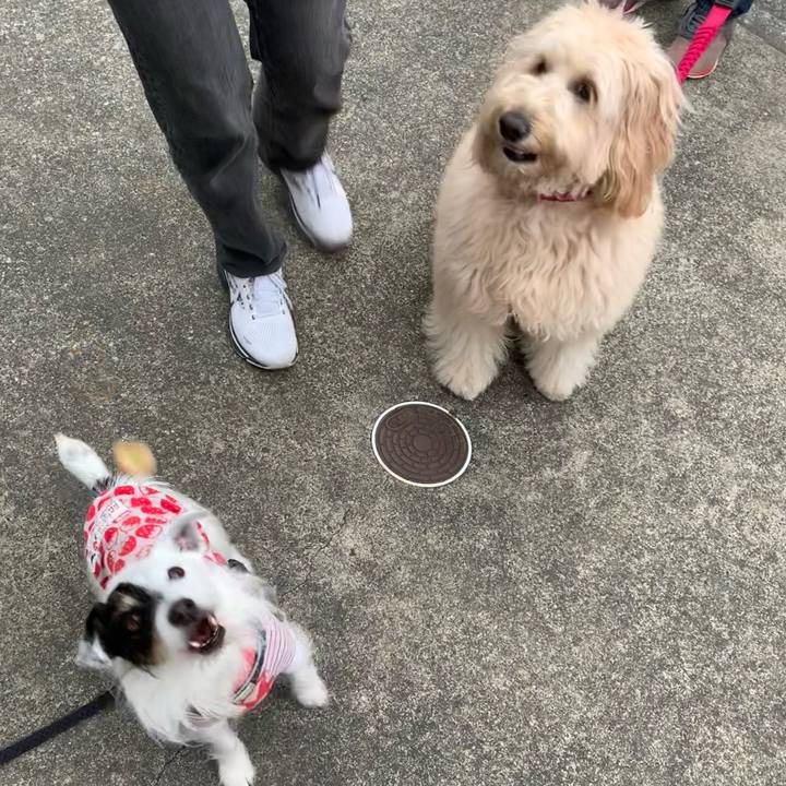 609acdb6 1f1c 4861 aeb3 e6e7032e1552 1709194044616