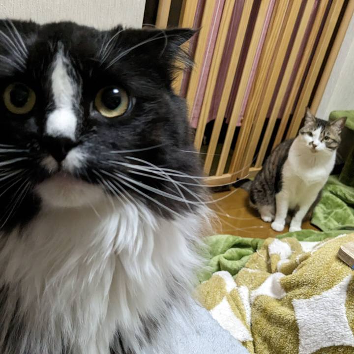 609b104f d55e 47f0 b0c2 384fbaef3158 1679485847633