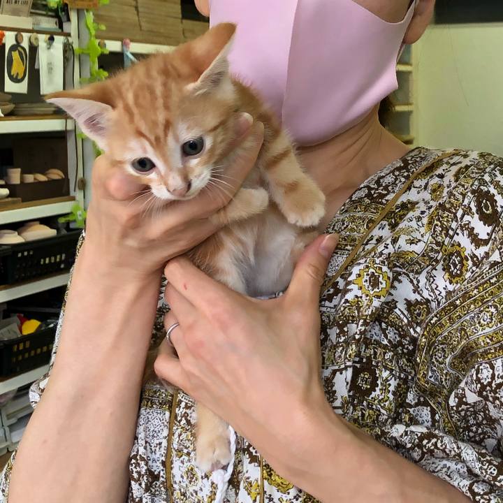 609b26e7 6eb8 43c9 a12a 4d341801bedd 1601112560598