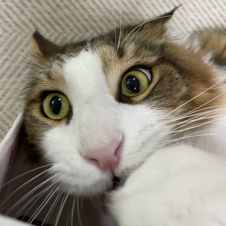 609b3572 f656 4f96 a0b8 7c1a174d0752 1666211754457