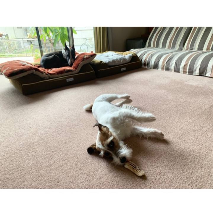 609b5a48 130b 4653 a08f 89a1ce23c5ed 1585366506823