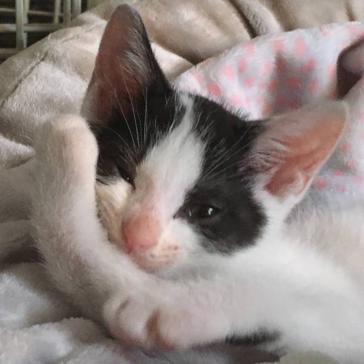 609b95e9 0f26 4241 8d69 7c44ec498183 1625557948688