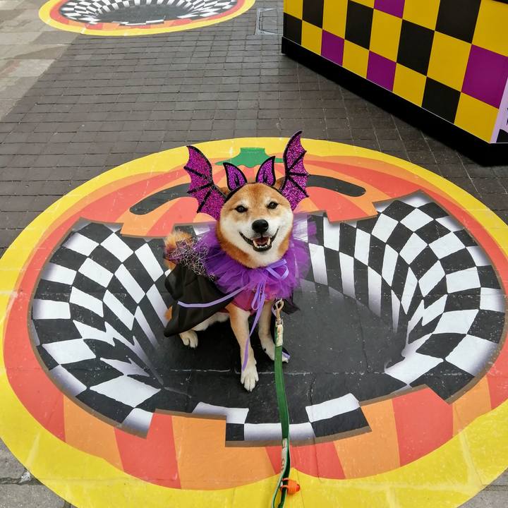 609b9acf 2478 48f5 9ac6 ce0c1c33b9ef 1633506328787