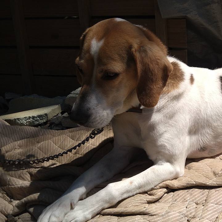 609bbf47 71de 4d70 8103 833fd26342b8 1653632046856