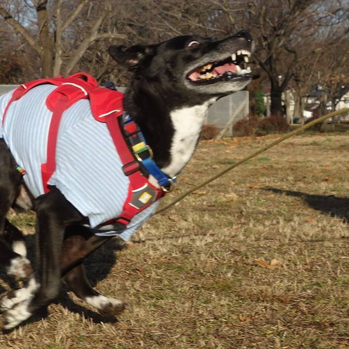 609bea90 b4ce 48ee 8819 59edb82723c0 1674177792029