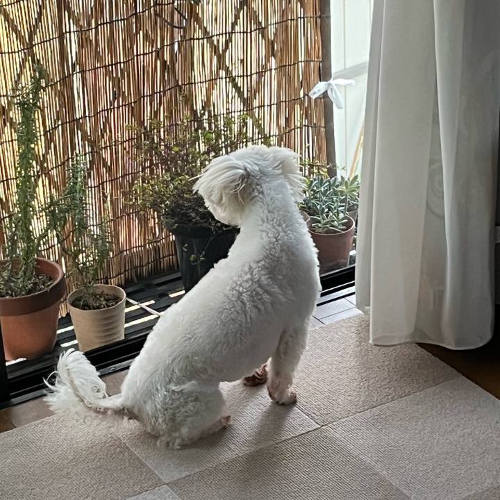 609bf859 b9b2 46e3 a74e 5ce3cd552b71 1691215953276