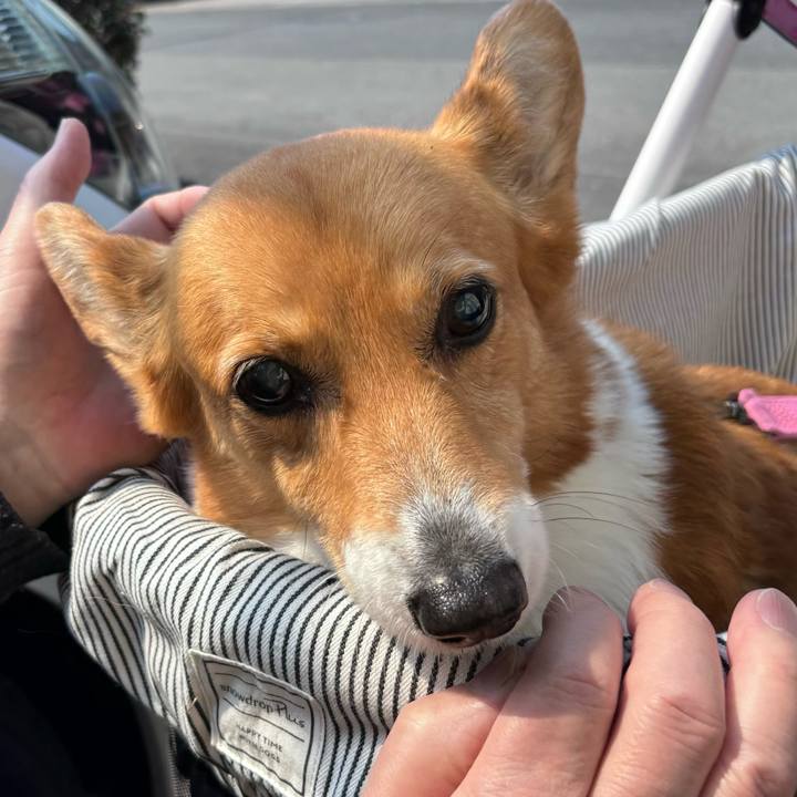 609c5b5d 84a2 4c27 bea6 613f30630f50 1742614220544