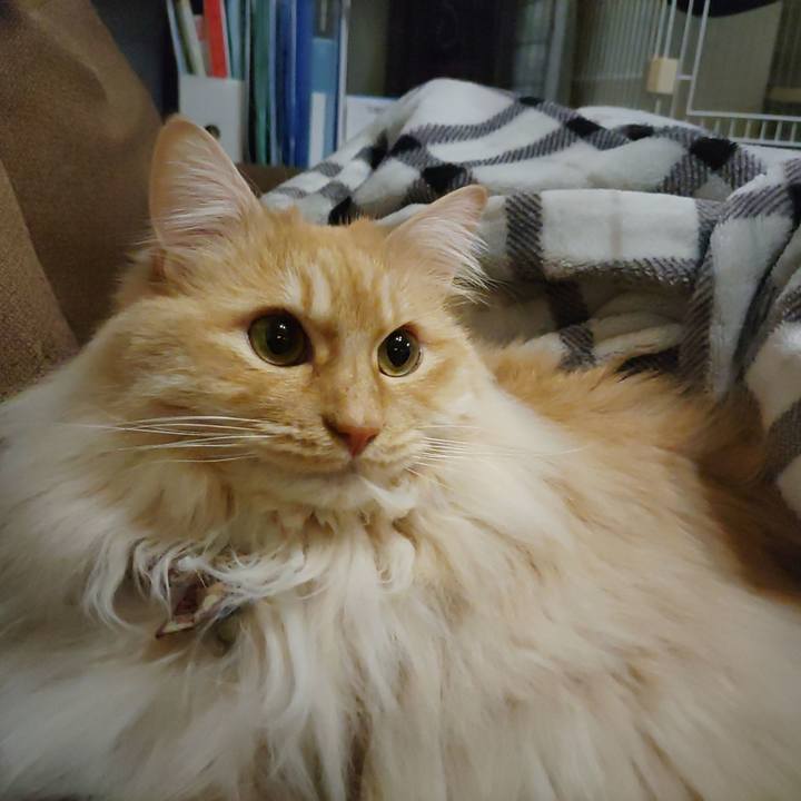 609cfb2d 7b4e 494d 8eca 43ecef1e4df3 1712062358558