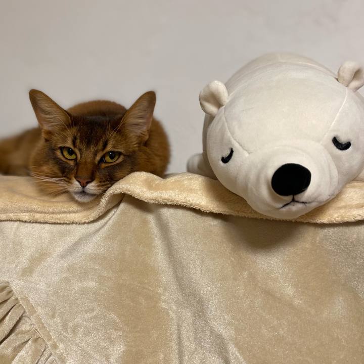 609cfc5a d06e 44dd 8906 0ce22a2c3439 1641719861387