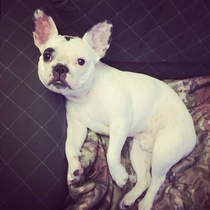 609d3664 9aee 4297 9a61 f537d2f787c7 1509625662450