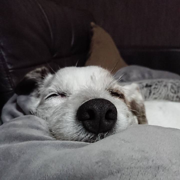 609d3e0d 0780 489e a3e2 095a9be7ea2f 1541979390579