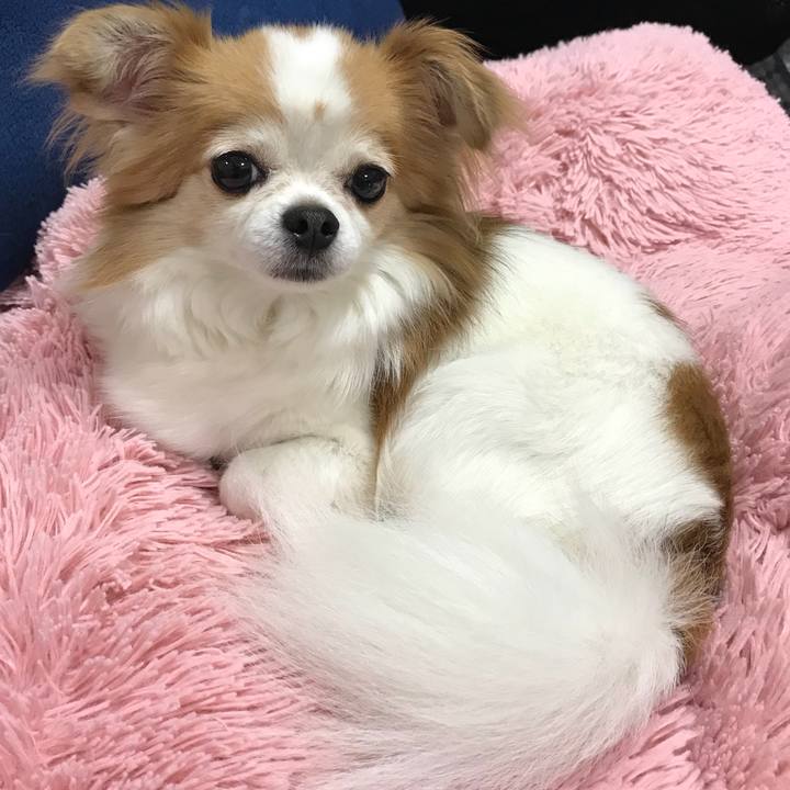 609d67a3 5829 468e bd24 4146b89676cd 1546248918856