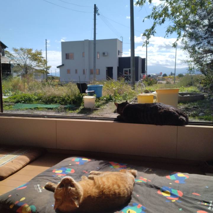 609d7b7d 223e 48e4 8d79 c13de3e7a5a6 1666059873454