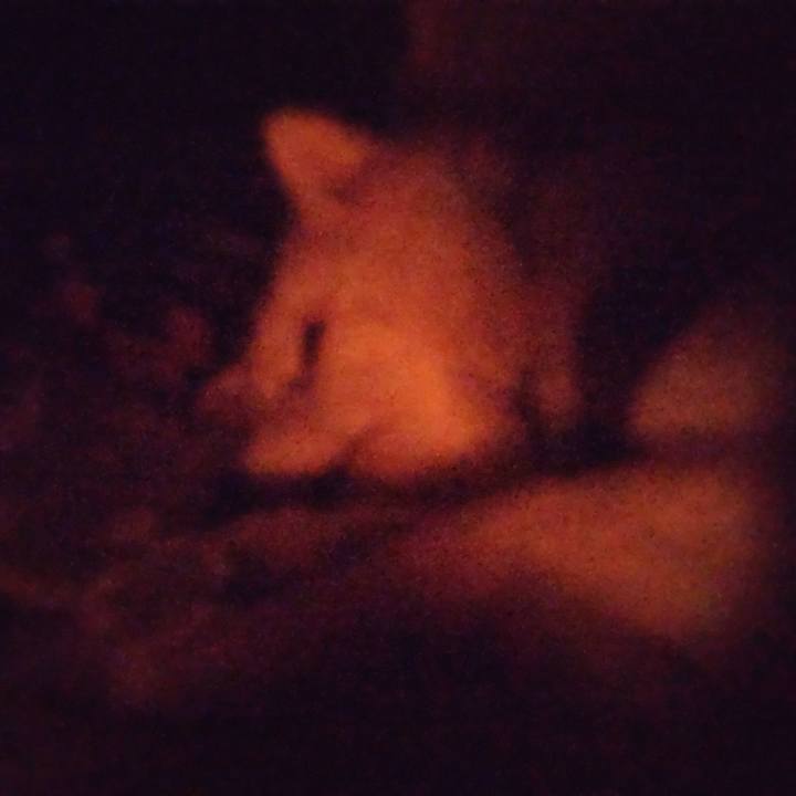 609d7e45 19bd 4157 91e1 02abc36611a2 1645031785829