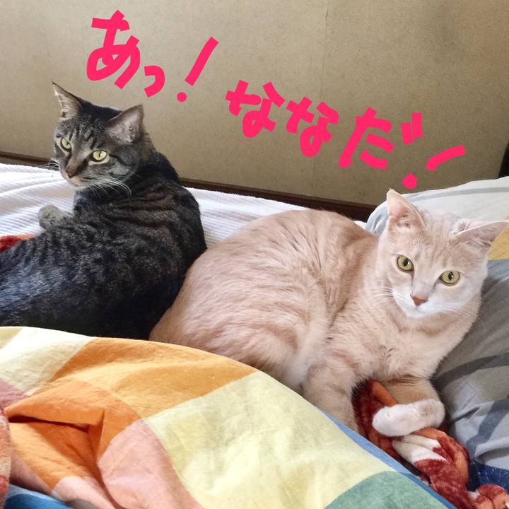 609d8f9b b247 4d2e b951 7e30667fe315 1527993566923