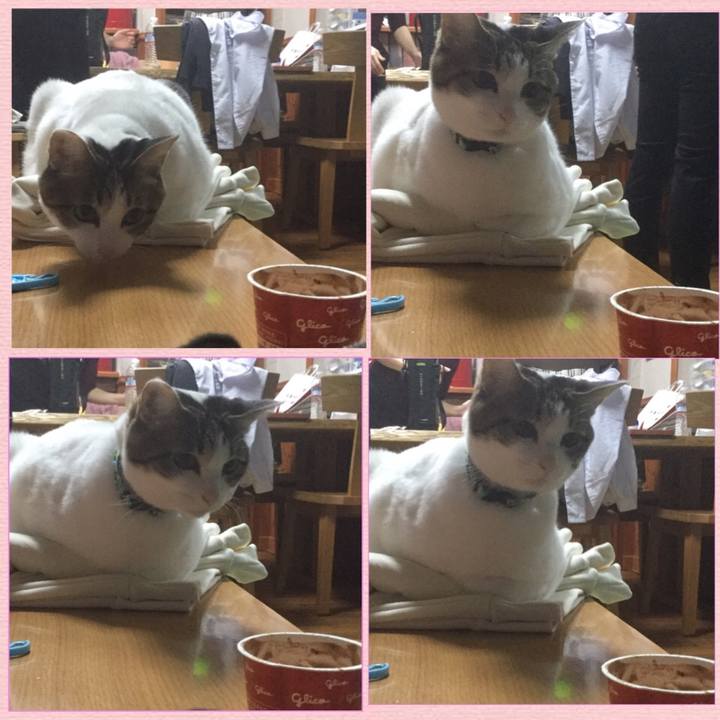 609db3ca bfdf 42d6 9242 8df6f8621190 1548252628640