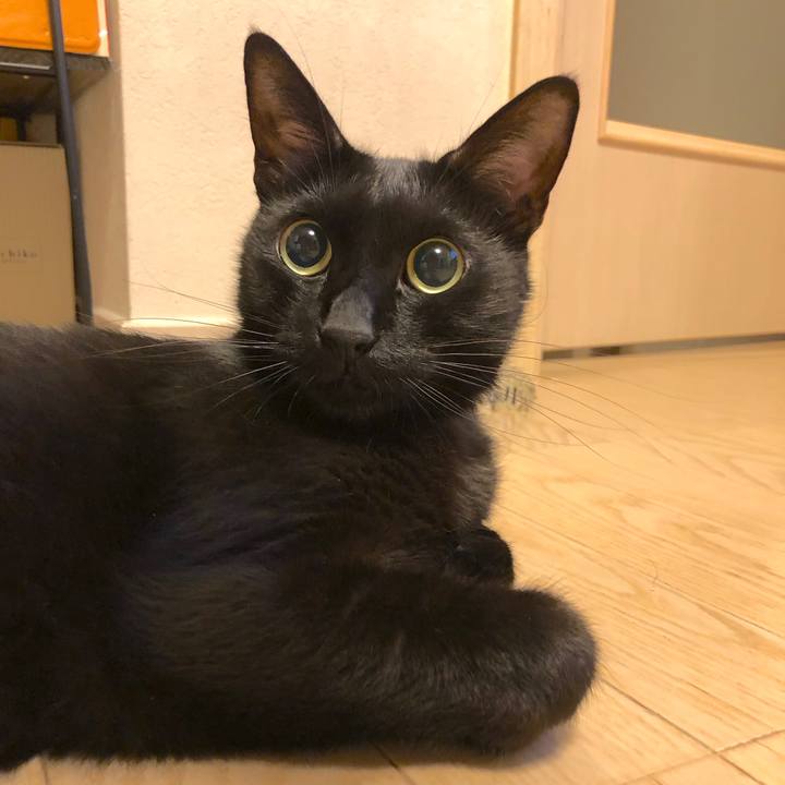 609dbb95 e922 4704 a18d 630f4c6a9170 1530021737186