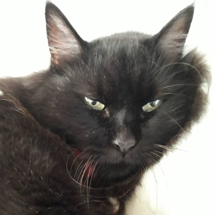 609dcd7b 8693 4411 9c53 763678d64068 1535435476365