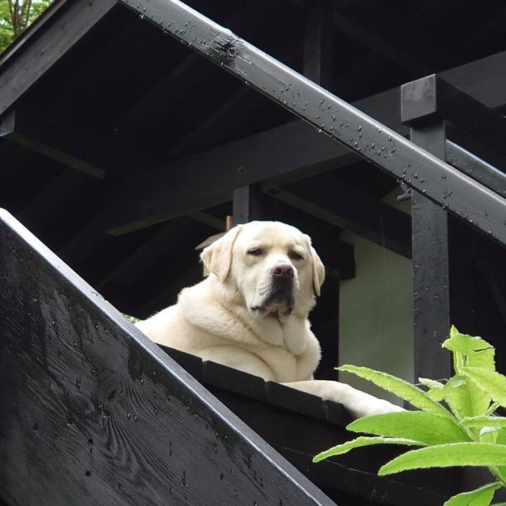 609deac1 f7b7 48ee 8542 3a4757f141f3 1625801298179