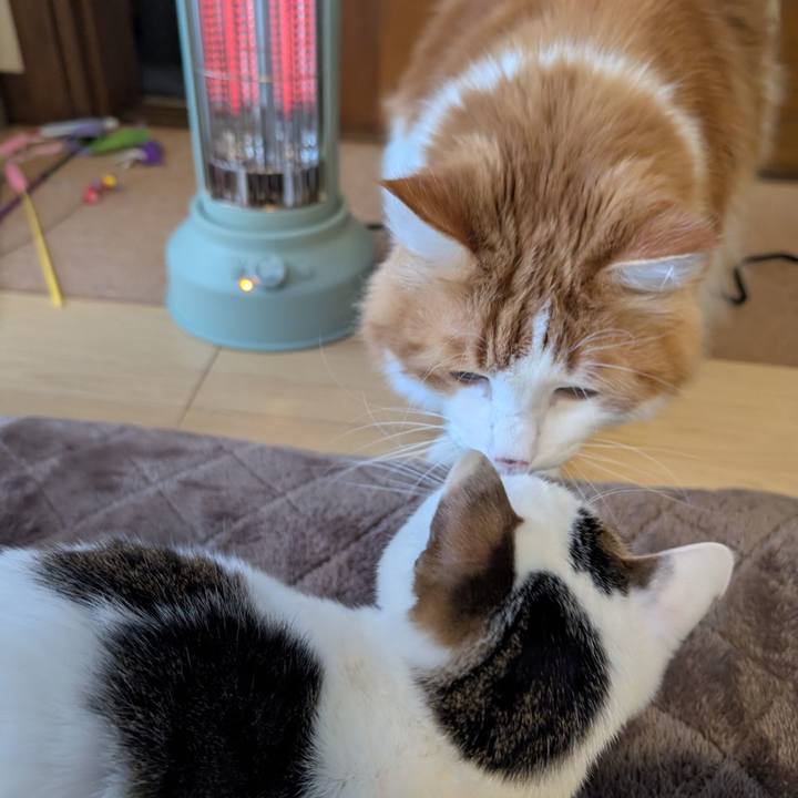 609e35db e02c 4cdb bf3b 0bd078073288 1735432009676