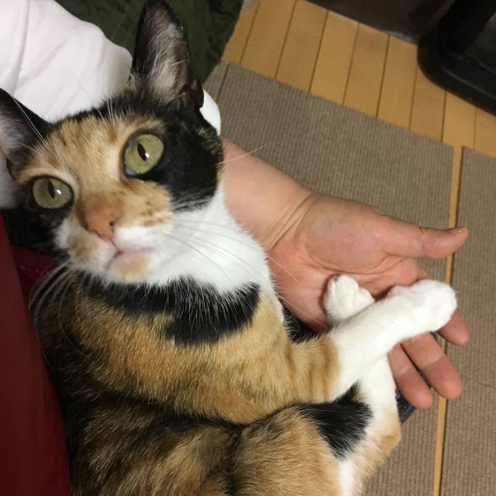 609e5938 a0f5 4f7b 9393 e03c7c636855 1520683981553