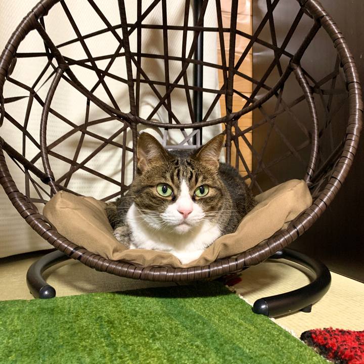 609e8216 b487 4ace 9eb0 195a9166acf5 1594981143635