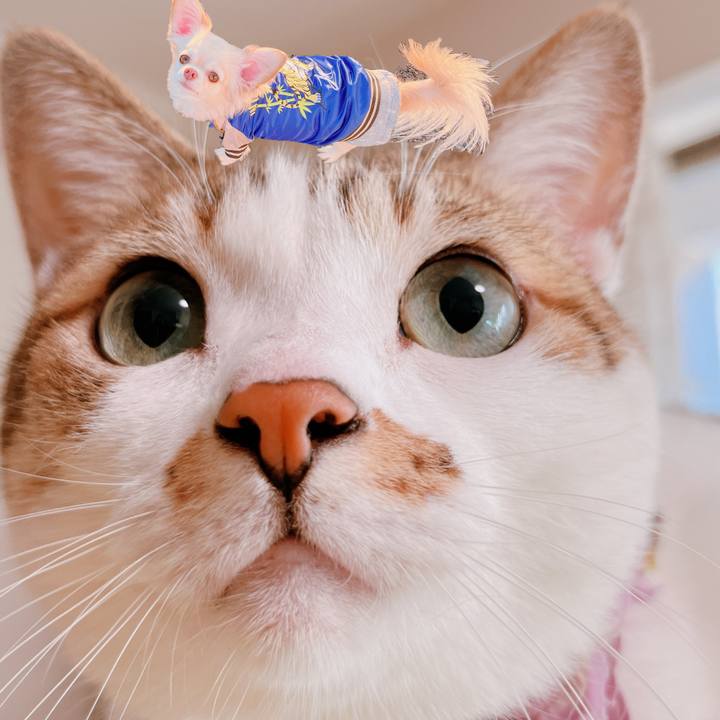 609e8b73 099d 48b4 8622 cb64da355204 1674725547780