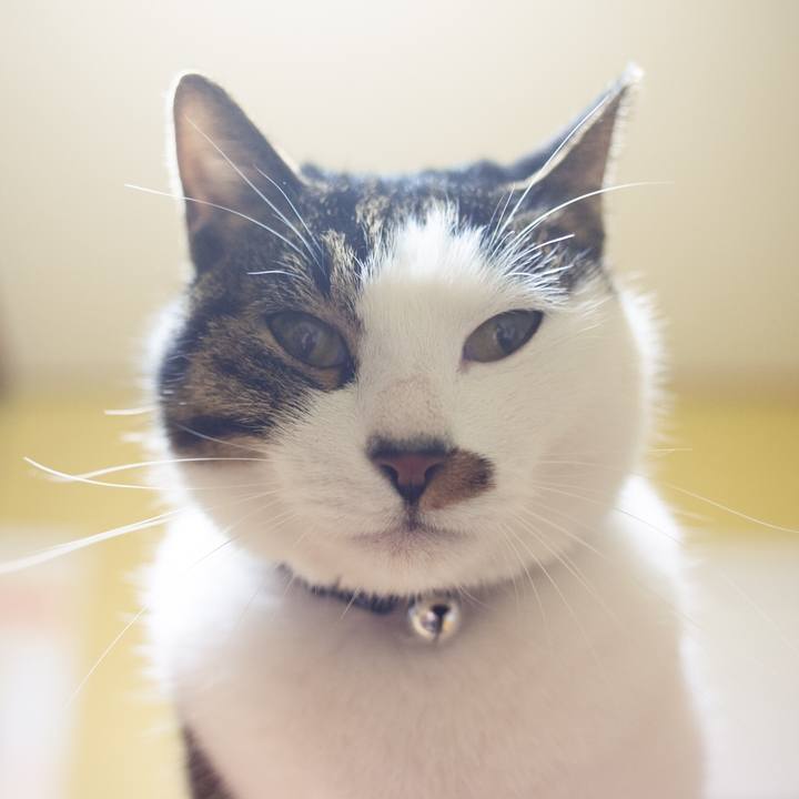 609e9704 a03f 4327 aa72 e6f900cd93d2 1577846479739