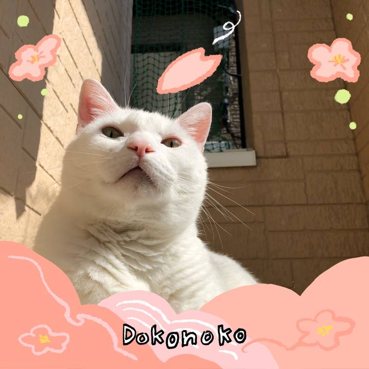 609e9e5f 81c0 4cc6 9e08 e471442f84d8 1775423862701