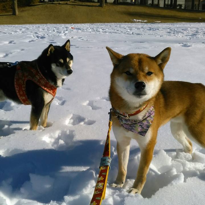 609eaa77 2ff9 45b3 b362 ef5da805aaba 1516759300394