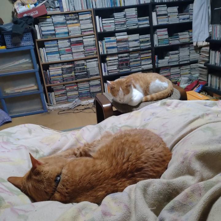 609ebd04 cec0 41f5 8bb2 90f9a4bc79a4 1733228329563