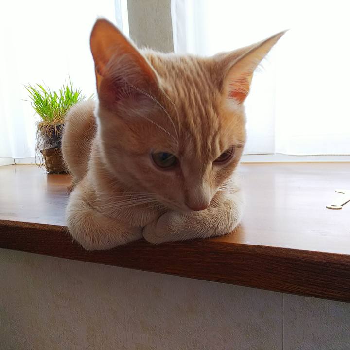 609edf37 3c55 4bfa 9162 11e1e8707570 1544929793392