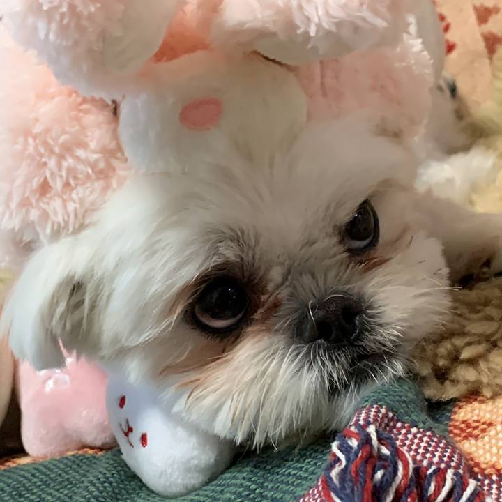 609f14b4 5a45 49a2 9389 9e8e3caa0281 1673061249653