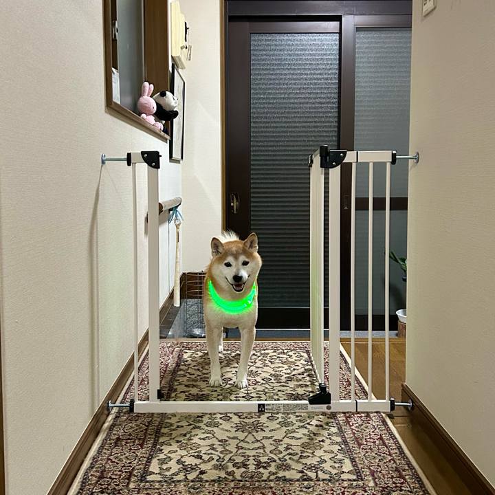 609f3482 9ba2 4af2 a4a2 821aac0e4b9c 1727003481519