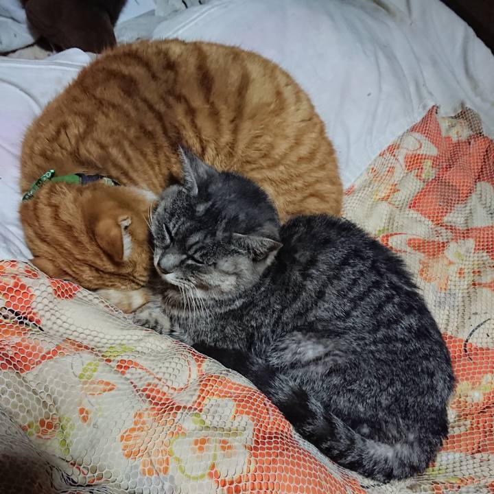 609f4d56 32c7 47ac bad1 598d94fc76ca 1581338221153