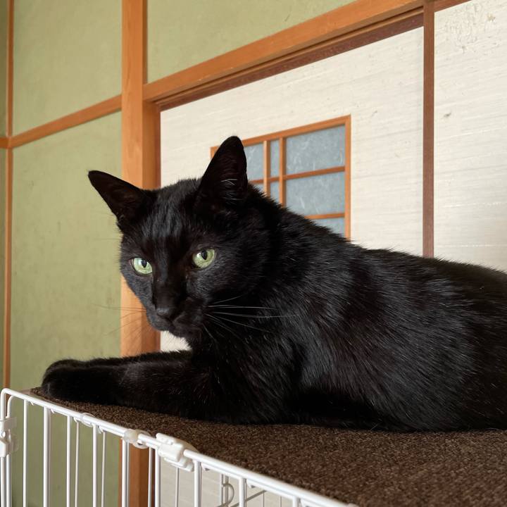 609f735b 0412 4d19 8086 7412ead34d72 1622341305694