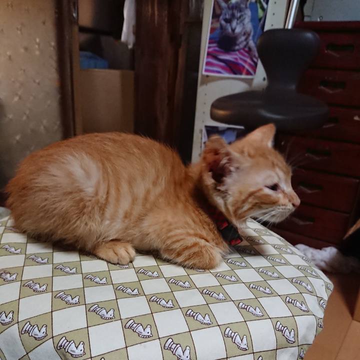 609f803a c3f7 4a4a 9a52 3432803bf3a8 1628023685644